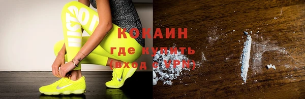 мет Бородино