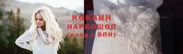 бошки Бронницы