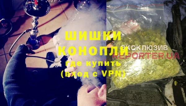бошки Бронницы