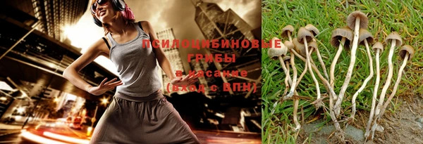 бошки Бронницы