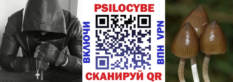 наркошоп  Весьегонск  это состав  Галлюциногенные грибы мухоморы 